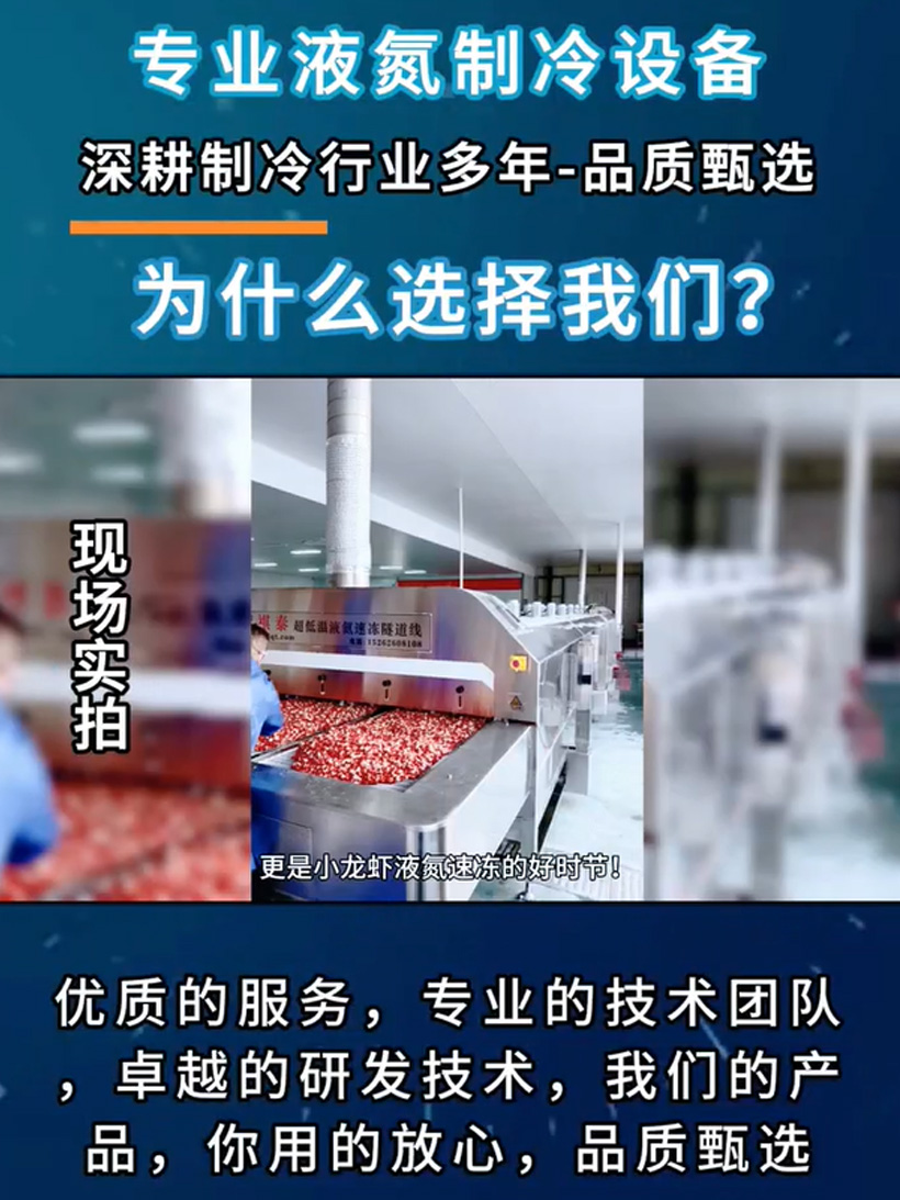 客户液氮速冻小龙虾现场